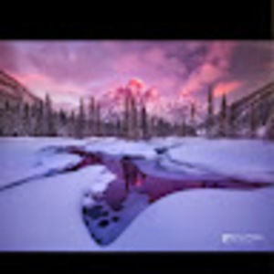 Meet your Posher, Cesar